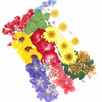 Етикети с сухи цветове от UV-смола, декоративни растения, естествени цветя, 3d, суха красота, епоксидни форма, Направи си сам, украса за пълнене, 1 пакет